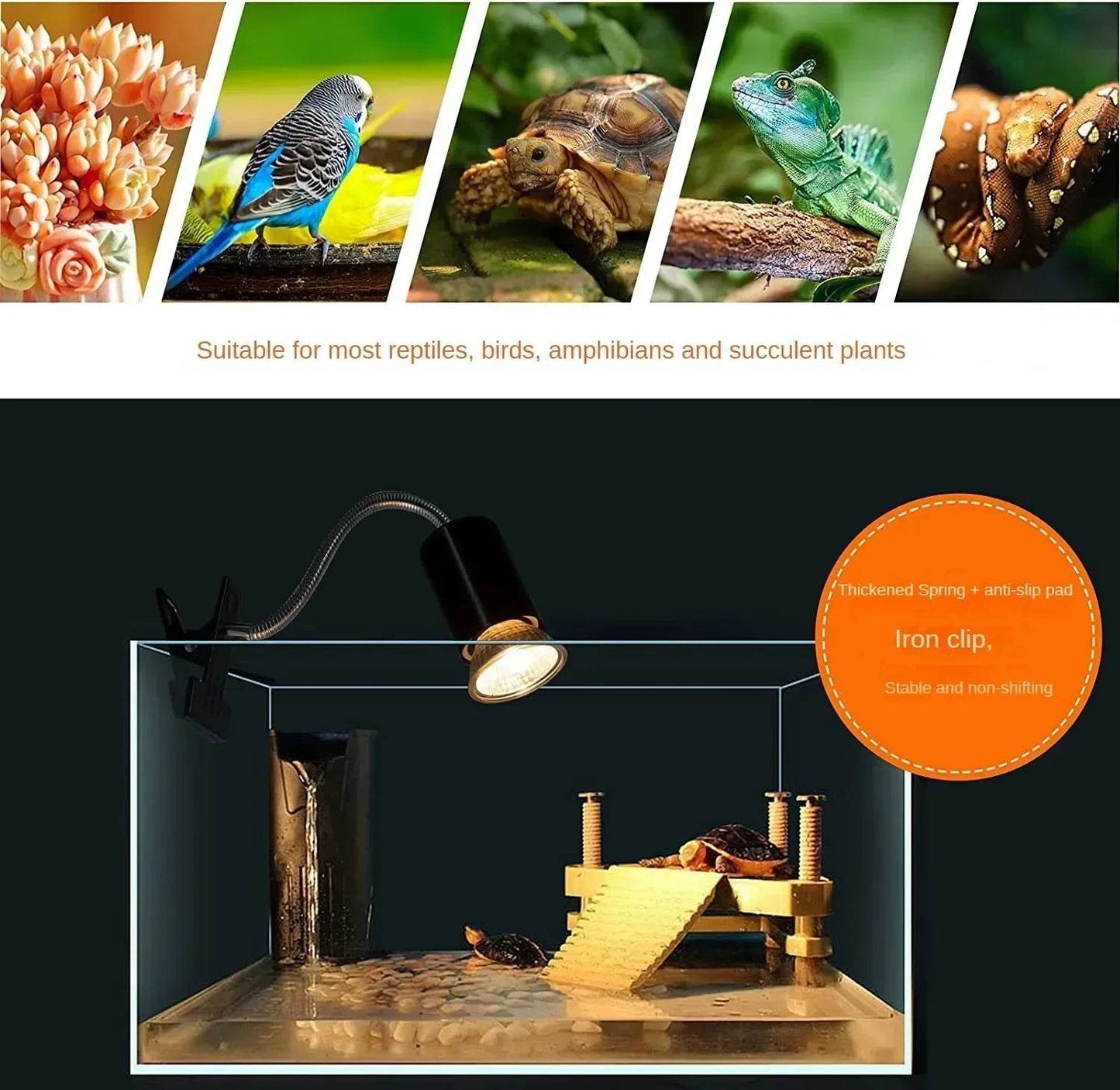 Ampoule halogène 50 W incluse, lampe chauffante pour reptiles, col de cygne réglable, lampes chauffantes pour réservoir d'aquarium, tortue, lézard, serpent, Terrarium - Animaleriex