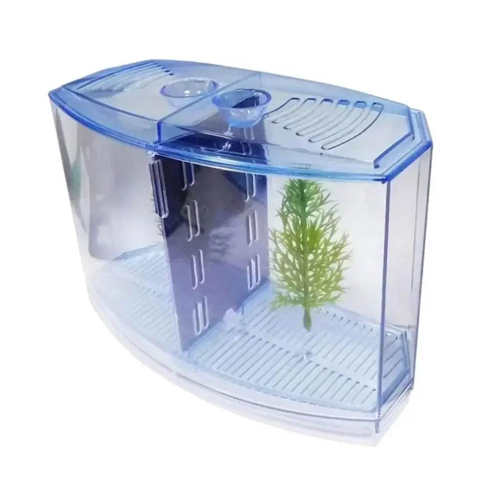 Aquarium Betta Transparent avec herbe aquatique, boîte d'isolation Betta en plastique à Double grille, grille simple et Double - Animaleriex
