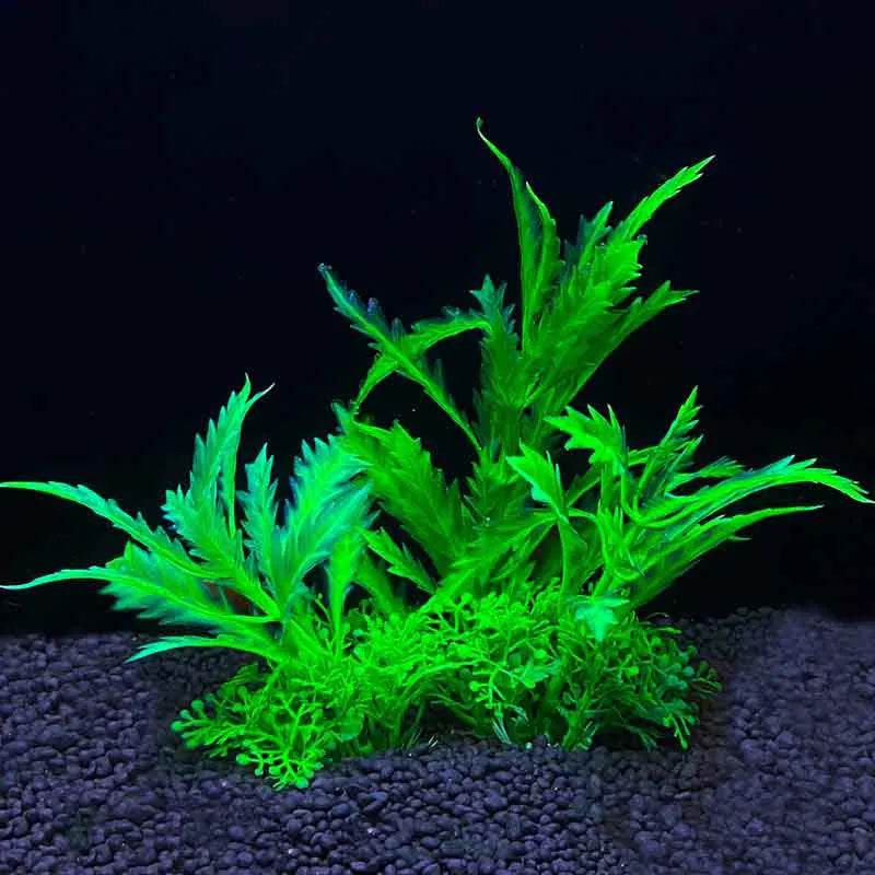 Plantes artificielles sous-marines en plastique pour Aquarium, faux arbuste aquatique, visualisation d'herbe verte, décoration de Simulation - Animaleriex