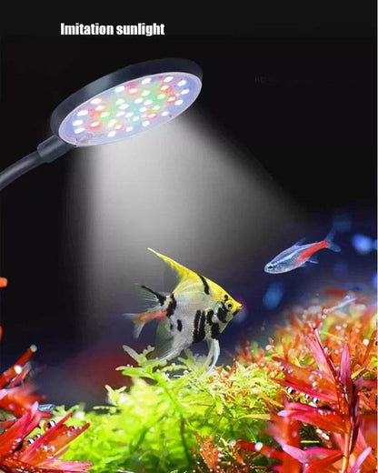 Lampe à pince pour aquarium 5W/7W, alimentation USB, décoration Led, spectre complet, étanche, lampe à algues, éclairage décoratif pour petit aquarium - Animaleriex