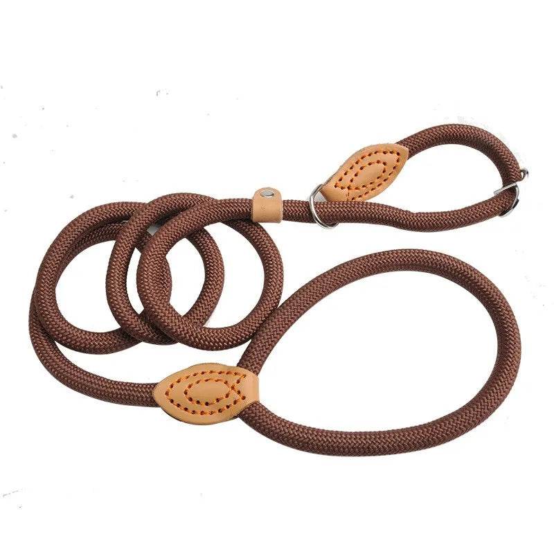Laisse pour chien, corde coulissante, laisse en plomb, corde tressée robuste, collier à boucle réglable, laisse d'entraînement pour chiens de taille moyenne et grande - Animaleriex