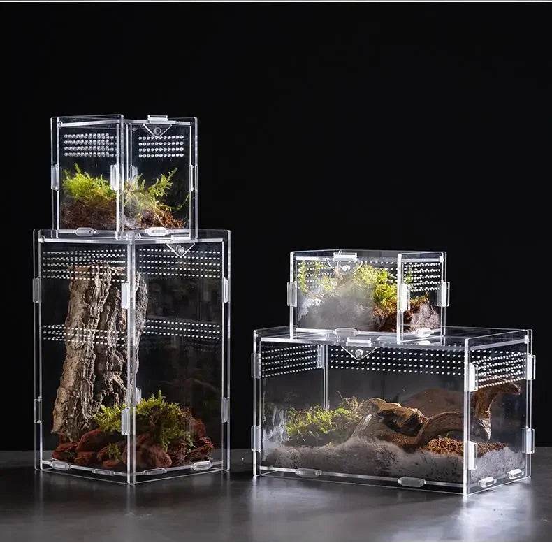 Boîte d'élevage de Terrarium pour reptiles, boîtier en acrylique, boîtier Nano arboricole pour tarentule, araignée, Scorpion, Dragon barbu - Animaleriex