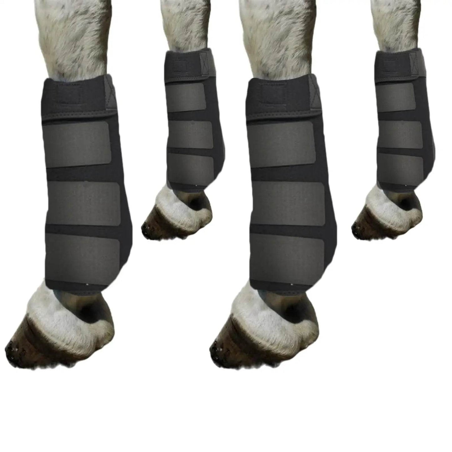 4x bottes de cheval, équipement de protection des jambes, ensemble d'enveloppements de jambes pour l'entraînement à l'équitation - Animaleriex