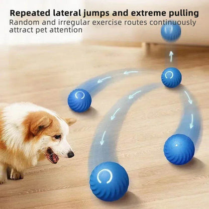 Balle électronique Interactive pour animaux de compagnie, jouet interactif pour chien, intelligent, mobile, saut par gravité, produits pour animaux de compagnie, Rechargeable - Animaleriex