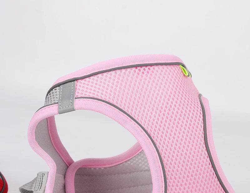 Ensemble de laisse de harnais pour chien pour petits chiens, harnais réglable pour chiot et chat, gilet bouledogue français, Chihuahua, carlin, laisse de marche en plein air - Animaleriex