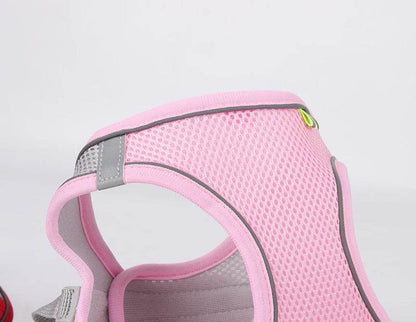 Ensemble de laisse de harnais pour chien pour petits chiens, harnais réglable pour chiot et chat, gilet bouledogue français, Chihuahua, carlin, laisse de marche en plein air - Animaleriex