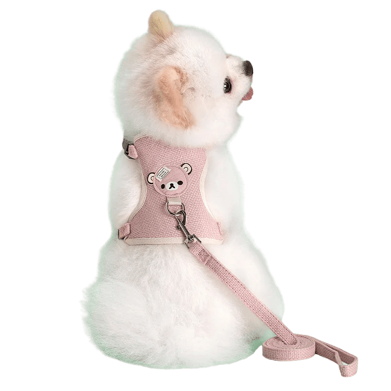 Ensemble de laisse de harnais pour animaux de compagnie, mignon, pour petits chiens de taille moyenne, chat, laisse de marche, Chihuahua, lapin, gilet, harnais, collier de caniche, accessoires pour chiens - Animaleriex