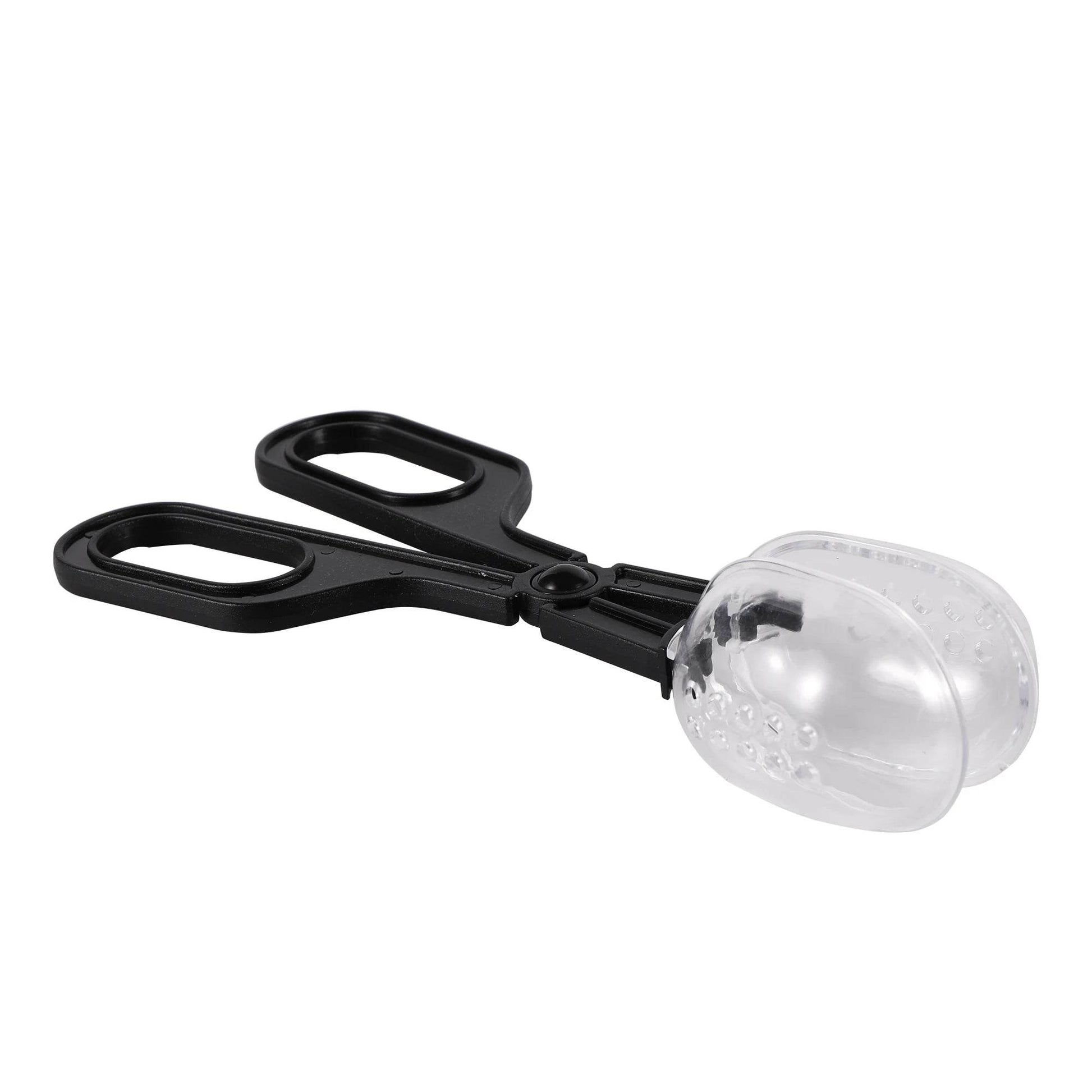 Reptile Terrarium lézards pinces en plastique pince à épiler outil d'alimentation pour animaux de compagnie pince enfants école plante insecte biologie outil d'étude - Animaleriex