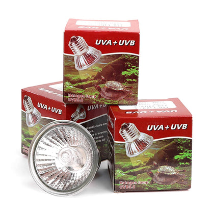 25/50/75W UVA + UVB 3.0 lampe Reptile ampoule tortue se prélasser UV ampoules lampe chauffante amphibiens lézards régulateur de température 1Pc - Animaleriex