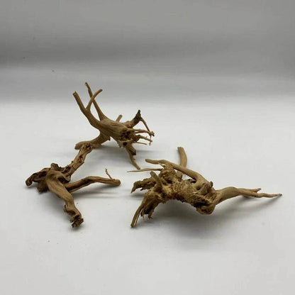 Tronc d'arbre naturel bois flotté Aquarium Aquarium plante bois décoration ornement Aquarium décoration Aquarium accessoires - Animaleriex
