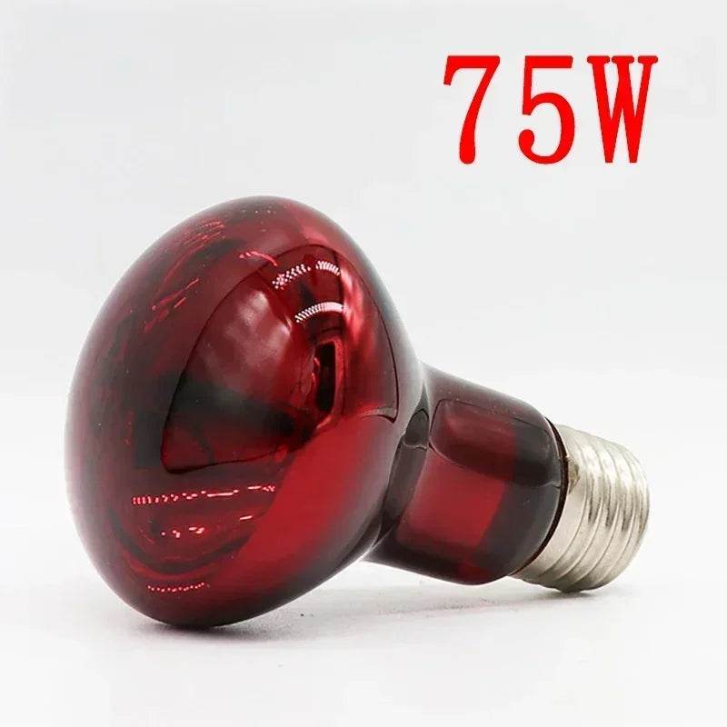 Lampe chauffante rouge amphibie UVA 220V, 25/40/50/60/75/100W, lampe infrarouge, ampoule en verre, accessoires pour Reptiles, serpents, lézards - Animaleriex