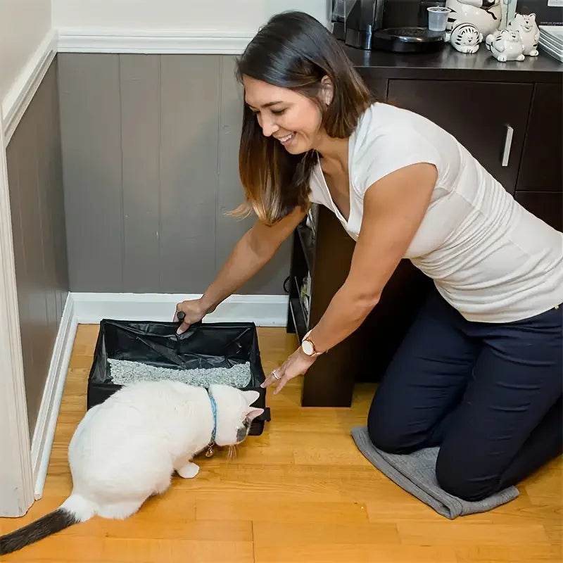 Bac à litière pliable Portable de voyage pour animaux de compagnie, plateau de toilette pour chien, pot à litière pliable pour chat, étanche, extérieur, pliable - Animaleriex