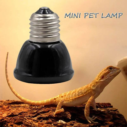 Mini lampe chauffante noire pour animaux de compagnie, émetteur en céramique, ampoule infrarouge 25/50/ 75/100W, couveuse de poulets, lampe Reptile - Animaleriex