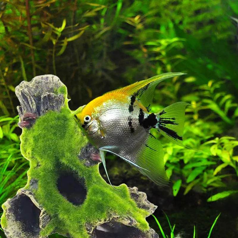 Résine de décoration de tronc d'arbre d'aquarium, décoration d'aquarium pour cacher les crevettes et les poissons, paysage de roche, grotte de cachette - Animaleriex