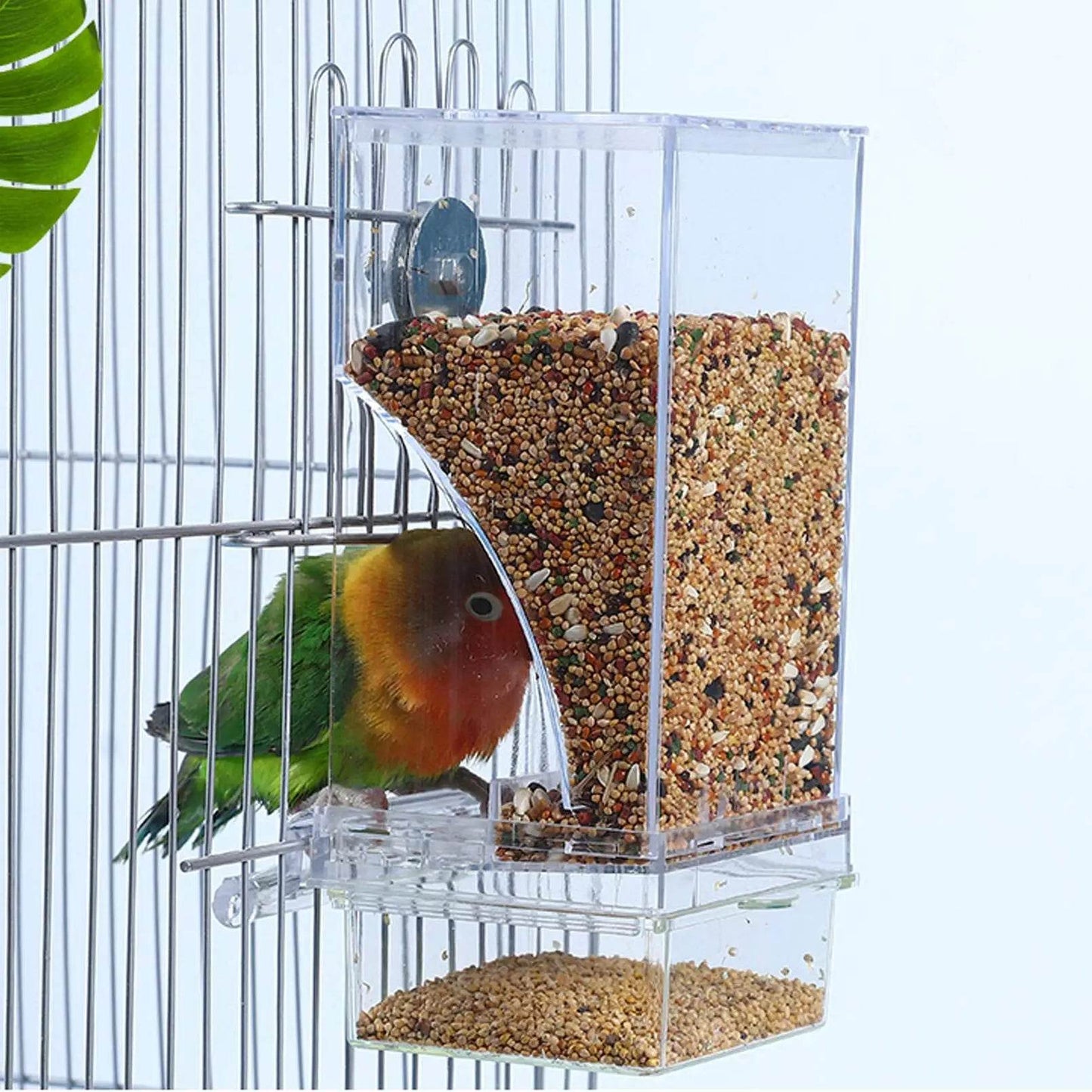 Mangeoires automatiques pour oiseaux, sans gâchis, pour perroquets, conteneur de nourriture en acrylique, accessoires de Cage pour petites et moyennes perruches - Animaleriex