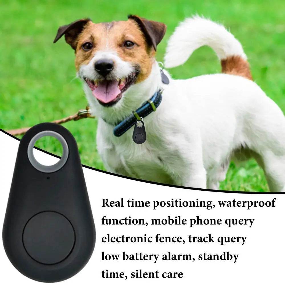 Traceur GPS Portable, GPS, Bluetooth 5.0, clé Mobile, mode, animaux intelligents, alarme Anti-perte, portefeuille sans fil, localisateur de clé, rappel - Animaleriex