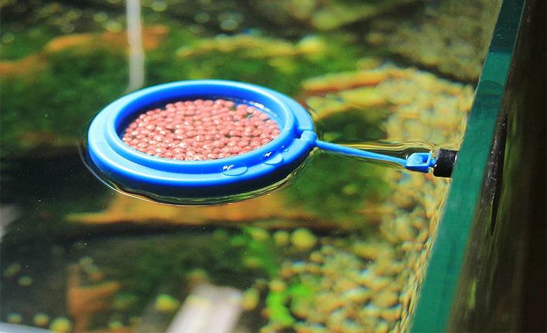 Anneau d'alimentation pour poissons d'aquarium, équipé de ventouses, Portable, circulaire et carré, mangeoire pour animaux aquatiques, outils d'alimentation pour Aquarium - Animaleriex