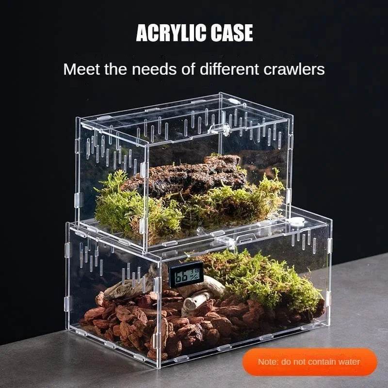Boîte d'élevage de Terrarium pour reptiles, boîtier en acrylique, boîtier Nano arboricole pour tarentule, araignée, Scorpion, Dragon barbu - Animaleriex
