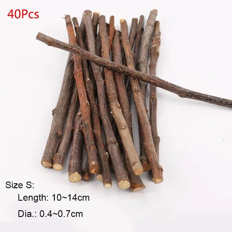 Professionnel Hamster lapin dents meulage pommier bâton minéraux molaire pierre jouets pour Chinchilla Hamster PetToys accessoires - Animaleriex