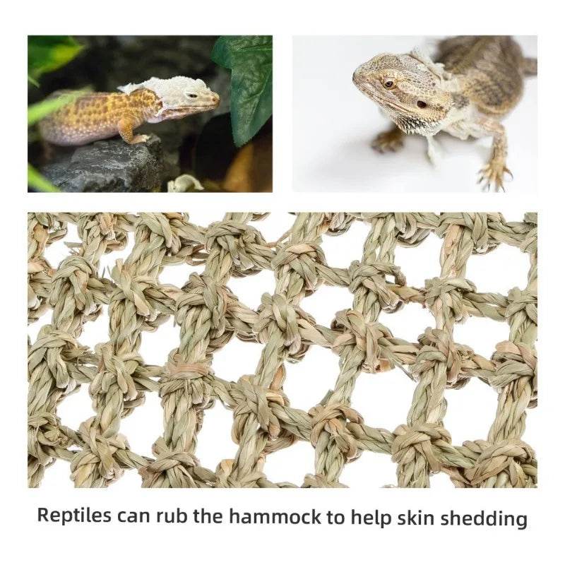Hamac Dragon barbu pour reptiles, chaise longue pour caméléon, lézards, Gecko, serpents, Lguana, coussin d'herbe, balançoire pour animal de compagnie - Animaleriex