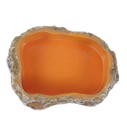Bols d'eau pour reptiles, plaque de Terrarium, mangeoire pour amphibiens, grenouille, caméléon, tortue, Dragon barbu, tortue - Animaleriex