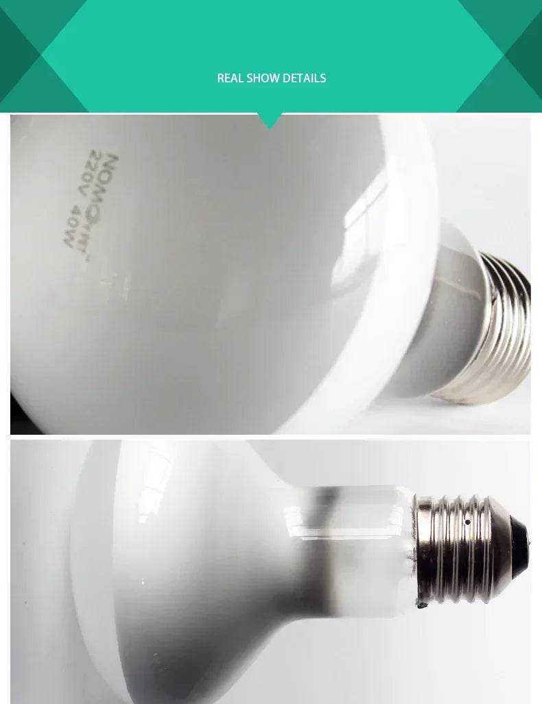 25W-100W Reptile UVA + UVB lampe ampoule tortue se prélasser UV ampoules lampe chauffante tortue lézards Terrarium régulateur de température - Animaleriex