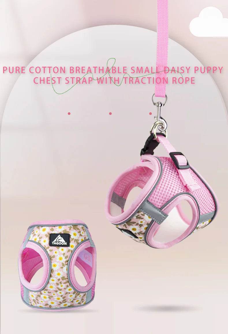 Harnais et laisse en maille de Nylon pour chat, respirant, pour chaton, petit chien, chiot, bouledogue français, Chihuahua, carlin - Animaleriex