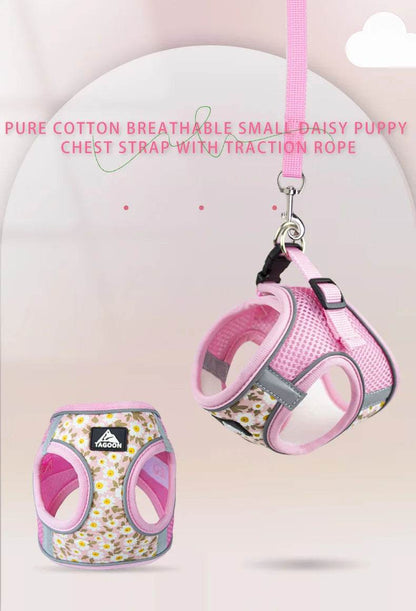 Harnais et laisse en maille de Nylon pour chat, respirant, pour chaton, petit chien, chiot, bouledogue français, Chihuahua, carlin - Animaleriex