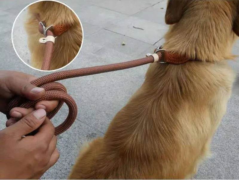 Laisse pour chien, corde coulissante, laisse en plomb, corde tressée robuste, collier à boucle réglable, laisse d'entraînement pour chiens de taille moyenne et grande - Animaleriex