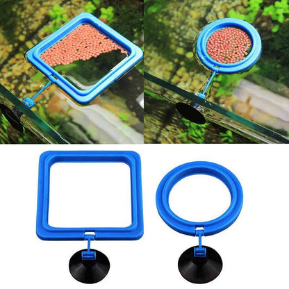 Anneau d'alimentation pour poissons d'aquarium, équipé de ventouses, Portable, circulaire et carré, mangeoire pour animaux aquatiques, outils d'alimentation pour Aquarium - Animaleriex