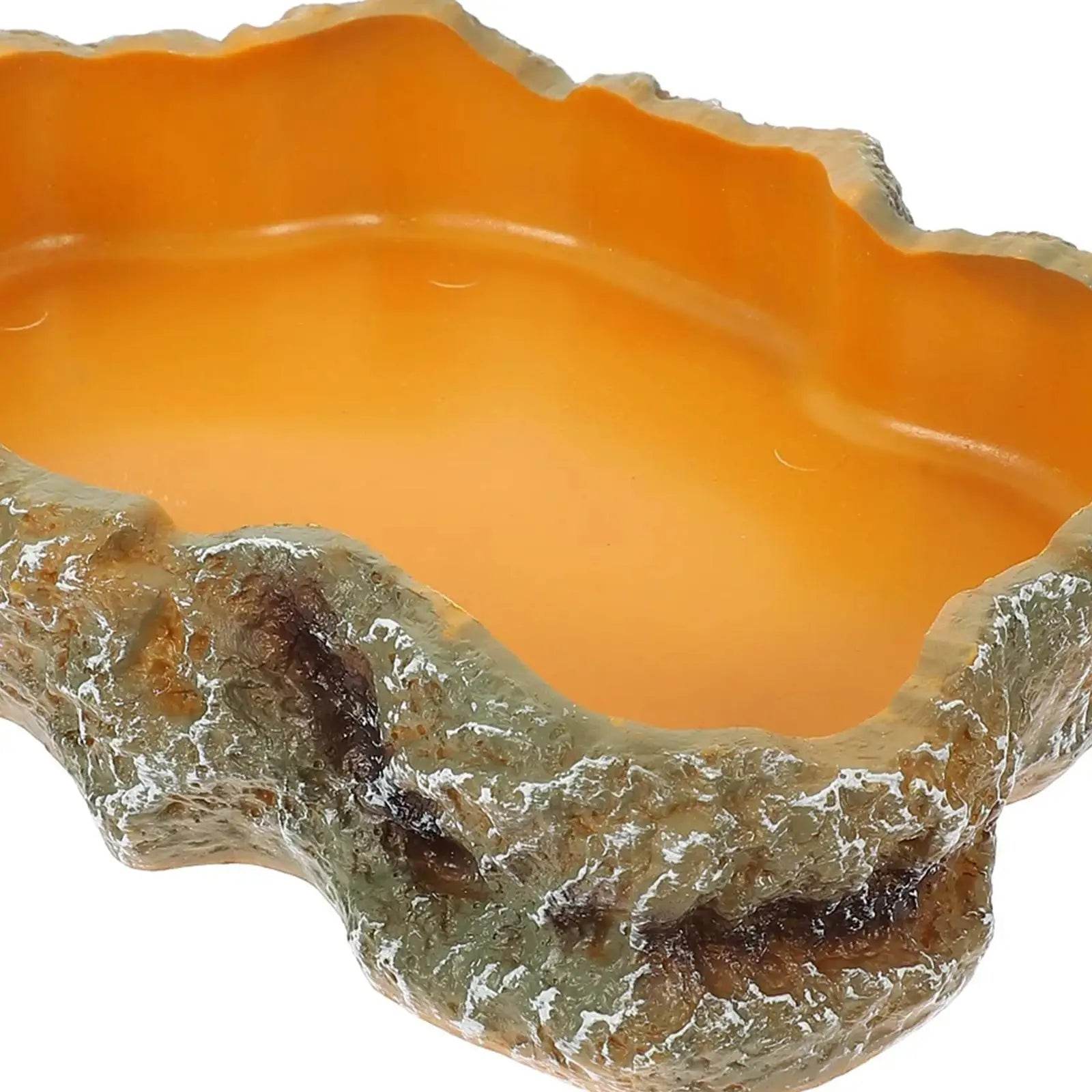 Bols d'eau pour reptiles, plaque de Terrarium, mangeoire pour amphibiens, grenouille, caméléon, tortue, Dragon barbu, tortue - Animaleriex