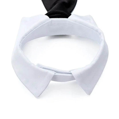 Cravate formelle pour chien et chat, nœud papillon de smoking, collier noir et rouge pour chien et chat, accessoires pour animaux de compagnie, pour mariage, vacances et cadeau de fête - Animaleriex