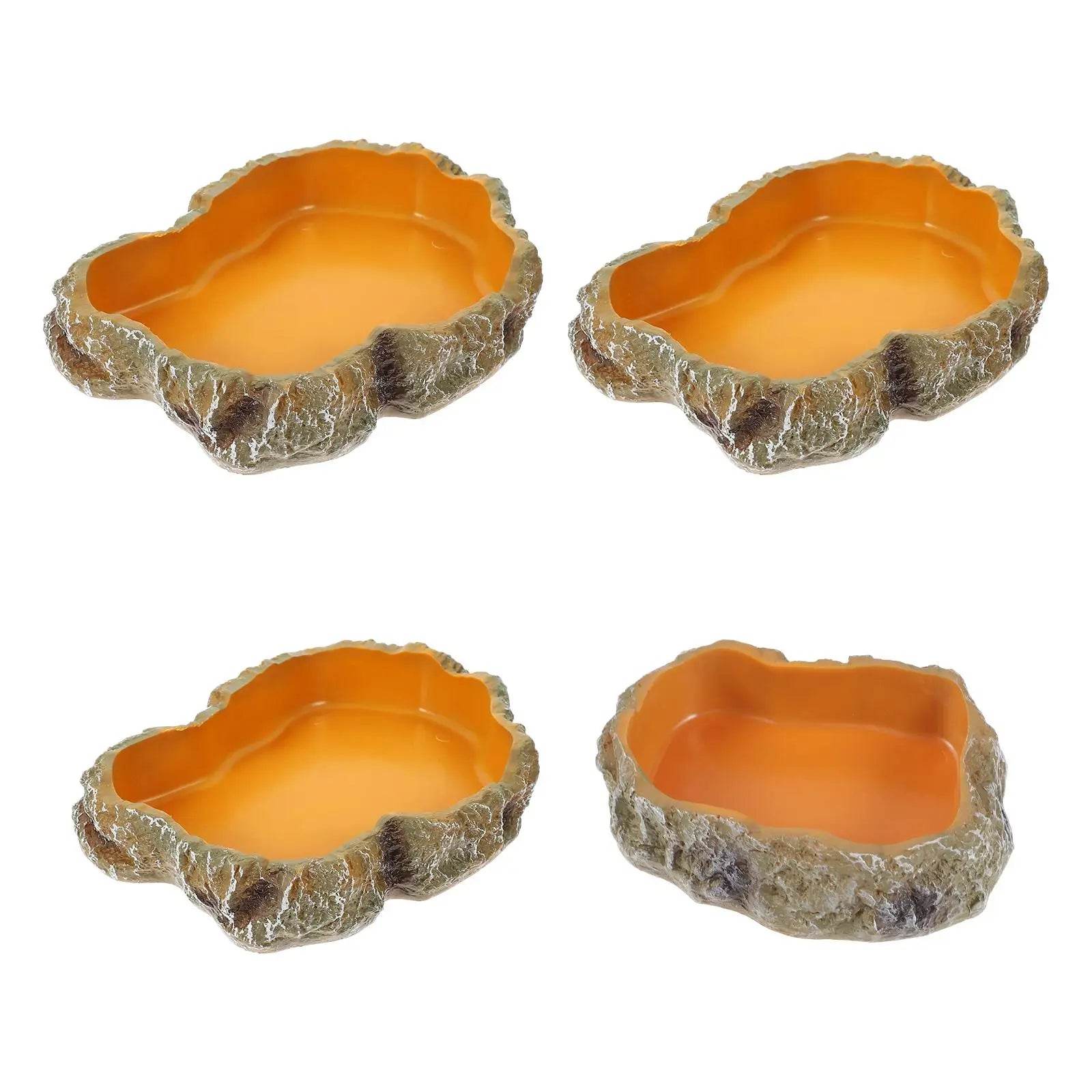 Bols d'eau pour reptiles, plaque de Terrarium, mangeoire pour amphibiens, grenouille, caméléon, tortue, Dragon barbu, tortue - Animaleriex