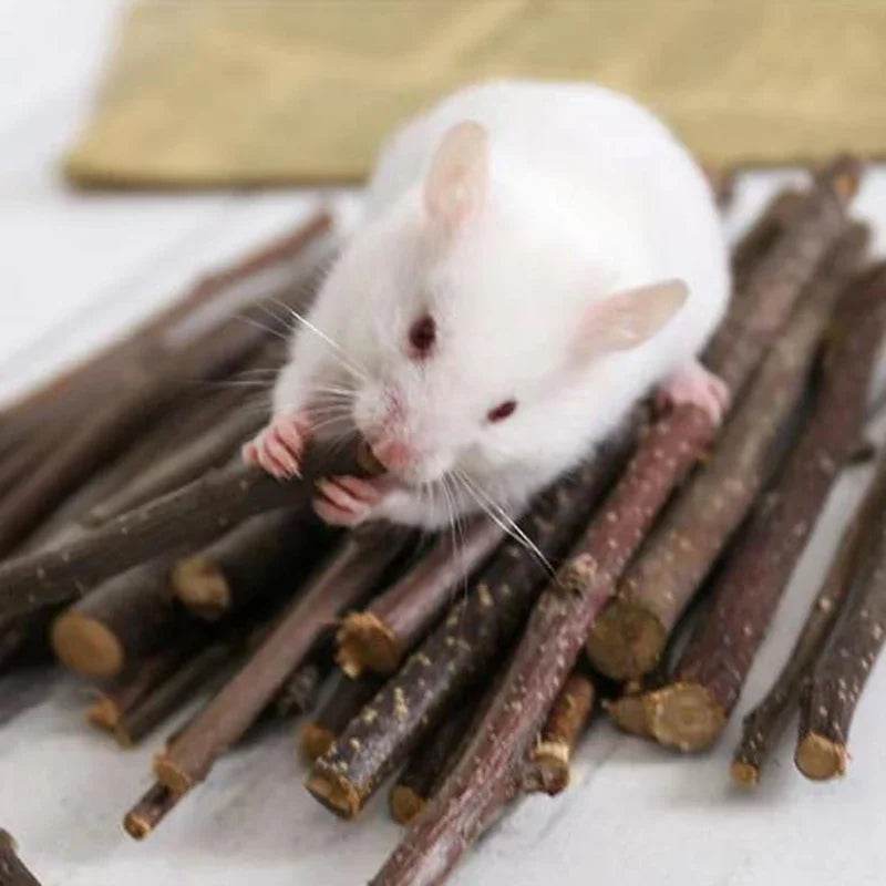 Professionnel Hamster lapin dents meulage pommier bâton minéraux molaire pierre jouets pour Chinchilla Hamster PetToys accessoires - Animaleriex