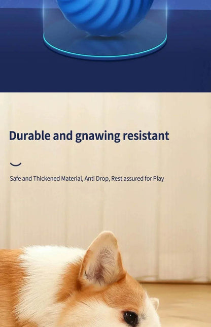 Balle électronique Interactive pour animaux de compagnie, jouet interactif pour chien, intelligent, mobile, saut par gravité, produits pour animaux de compagnie, Rechargeable - Animaleriex