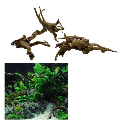 Tronc d'arbre naturel bois flotté Aquarium Aquarium plante bois décoration ornement Aquarium décoration Aquarium accessoires - Animaleriex