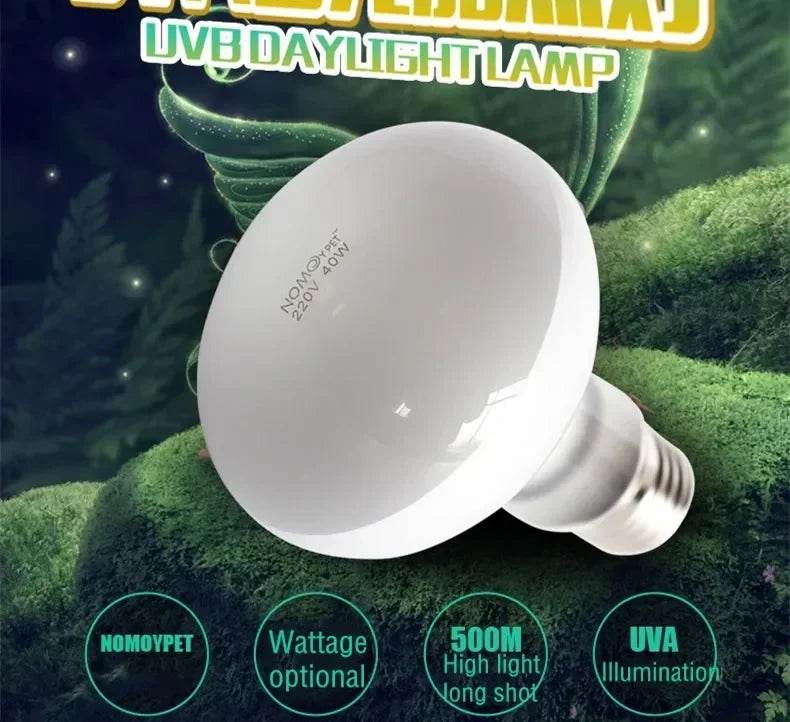 25W-100W Reptile UVA + UVB lampe ampoule tortue se prélasser UV ampoules lampe chauffante tortue lézards Terrarium régulateur de température - Animaleriex