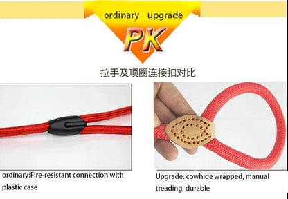 Laisse pour chien, corde coulissante, laisse en plomb, corde tressée robuste, collier à boucle réglable, laisse d'entraînement pour chiens de taille moyenne et grande - Animaleriex