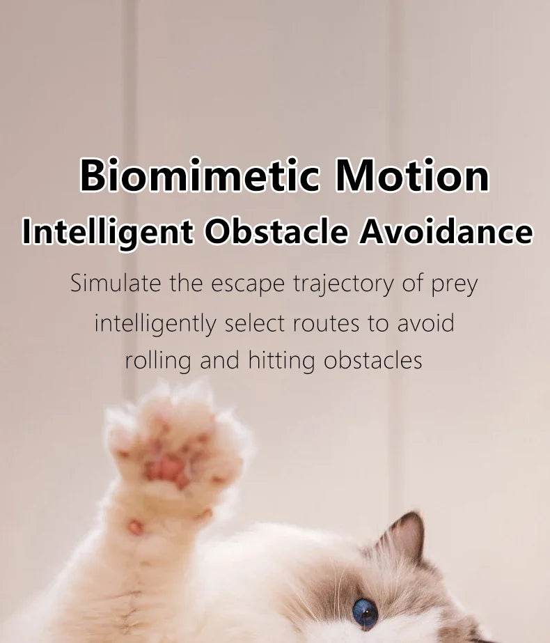 Balle Interactive pour chat, jouets intelligents pour animaux de compagnie, boule magique à roulement automatique d'intérieur, jouet interactif électronique, accessoires de jeu pour chat - Animaleriex