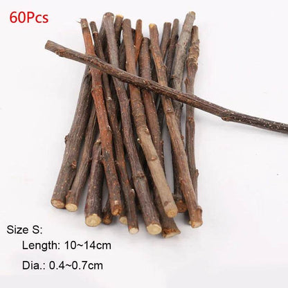 Professionnel Hamster lapin dents meulage pommier bâton minéraux molaire pierre jouets pour Chinchilla Hamster PetToys accessoires - Animaleriex