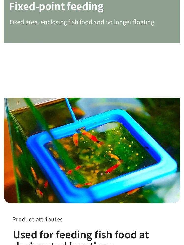 Anneau d'alimentation flottant pour poissons, Station d'aquarium à cercle carré avec ventouse, distributeur de nourriture facile, conception peu encombrante - Animaleriex