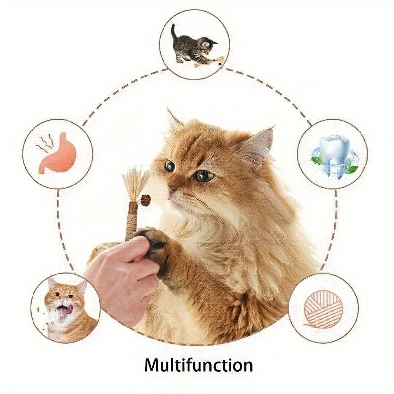 Jouets pour chats, bâton à mâcher en vigne argentée, Polygonum Kitty, herbe de raphia, fournitures pour animaux de compagnie, bâton de nettoyage des dents, morsure d'animal de compagnie, jouet pour chat, corde de chanvre, 1 pièce - Animaleriex