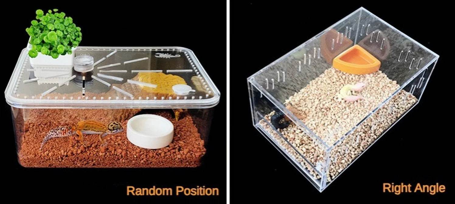 Bol d'eau et de nourriture pour Reptile, plat à vers, bols en céramique pour animaux de compagnie, Anti-fuite, Mini bol pour vers de farine, lézard, Dragon barbu - Animaleriex