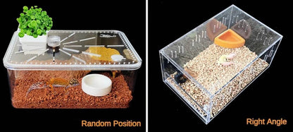 Bol d'eau et de nourriture pour Reptile, plat à vers, bols en céramique pour animaux de compagnie, Anti-fuite, Mini bol pour vers de farine, lézard, Dragon barbu - Animaleriex