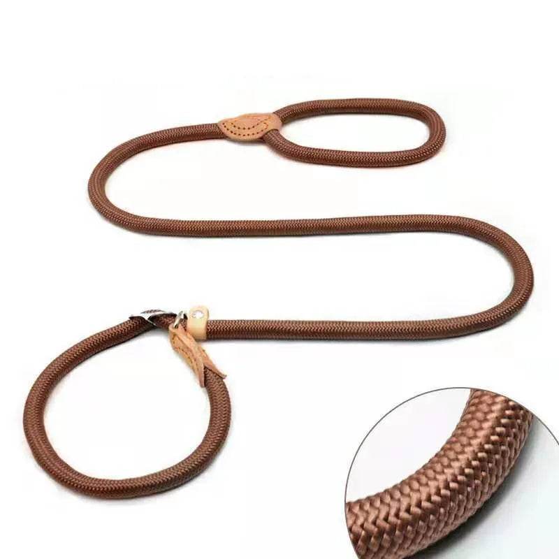 Laisse pour chien, corde coulissante, laisse en plomb, corde tressée robuste, collier à boucle réglable, laisse d'entraînement pour chiens de taille moyenne et grande - Animaleriex