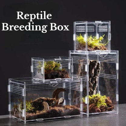 Boîte d'élevage de Terrarium pour reptiles, boîtier en acrylique, boîtier Nano arboricole pour tarentule, araignée, Scorpion, Dragon barbu - Animaleriex