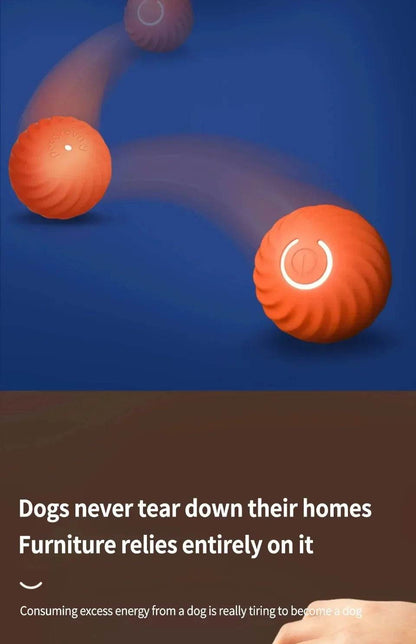 Balle électronique Interactive pour animaux de compagnie, jouet interactif pour chien, intelligent, mobile, saut par gravité, produits pour animaux de compagnie, Rechargeable - Animaleriex