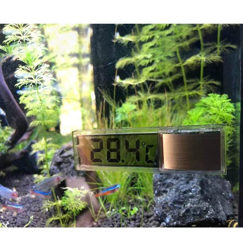 Thermomètre électronique LCD numérique pour Aquarium, mesure de la température du réservoir de poisson, accessoires d'aquarium - Animaleriex