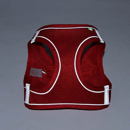 Ensemble de laisse de harnais pour chien pour petits chiens, harnais réglable pour chiot et chat, gilet bouledogue français, Chihuahua, carlin, laisse de marche en plein air - Animaleriex