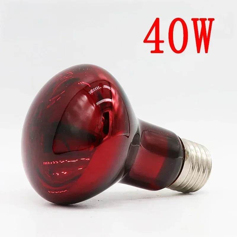 Lampe chauffante rouge amphibie UVA 220V, 25/40/50/60/75/100W, lampe infrarouge, ampoule en verre, accessoires pour Reptiles, serpents, lézards - Animaleriex